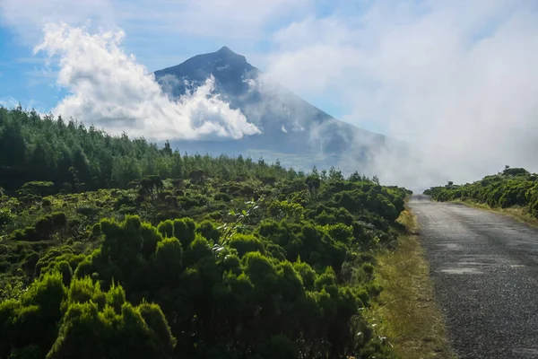 Pico adasında Pico Dağı, Azores. Portekiz
