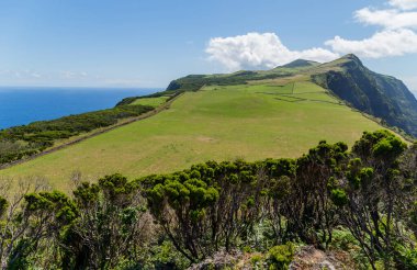 Arka planda okyanus olan Sao Jorge kırsal manzarası. Azores, Portekiz