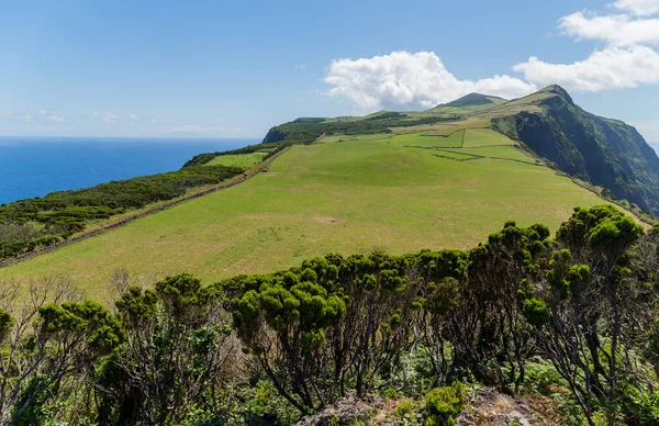 Vista Campiña Sao Jorge Con Océano Fondo Azores Portugal —  Fotos de Stock