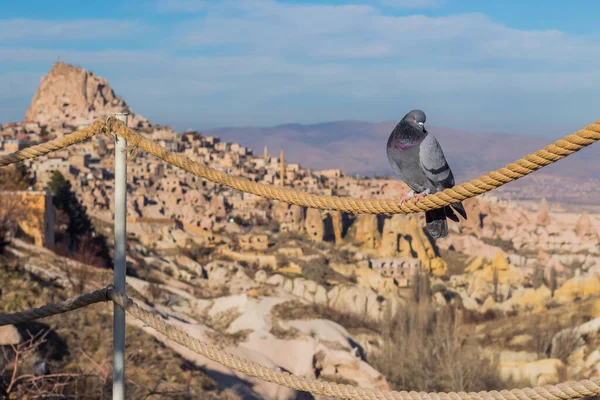 カパドキアで鳩 カッパドキア地球ピラミッド グレーム トルコ — ストック写真