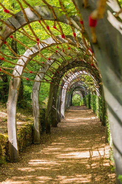 Tunel Roślinny Ogrodach Jardins Marqueyssac Regionie Dordogne Francji — Zdjęcie stockowe