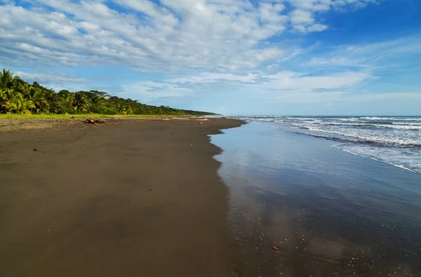 Spiaggia Tropicale Con Palme Costa Rica — Foto Stock