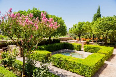 Granada, İspanya: Ünlü çeşmesi ve bahçesiyle The Generalife avlusunun genel manzarası. Alhambra de Granada kompleksi