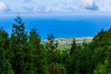 Azores Portekiz 'in güzel manzaraları. Sao Miguel Adası, Azores 'te tropikal doğa.
