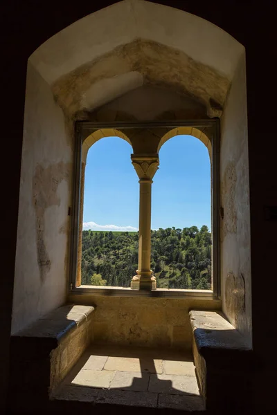 Ségovie Espagne Célèbre Château Alcazar Ségovie Détails Intérieurs Castilla Leon — Photo