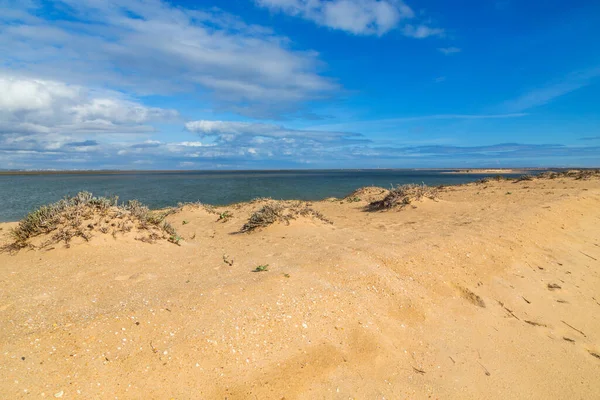 Pusta Plaża Albufeira Znajduje Się Słynnej Miejscowości Turystycznej Algarve Portugalia — Zdjęcie stockowe