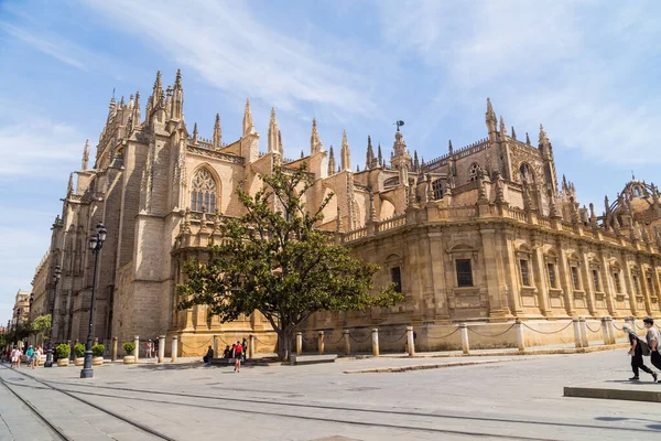 Seville Spain Cathedral Saint Mary See Better Known Seville Cathedral — Stock Photo, Image