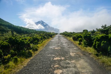 Pico adasında Pico Dağı, Azores. Portekiz