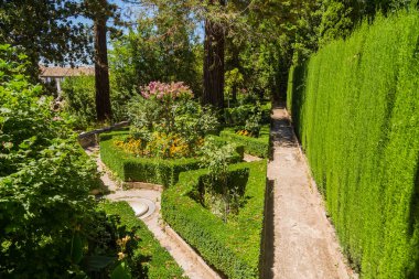 Granada, İspanya: Ünlü çeşmesi ve bahçesiyle The Generalife avlusunun genel manzarası. Alhambra de Granada kompleksi