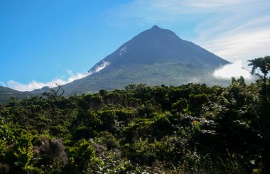 Pico adasında Pico Dağı, Azores. Portekiz