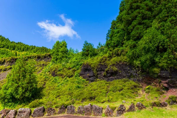 Vackra Landskap Azorerna Portugal Tropisk Natur Sao Miguel Island Azorerna — Stockfoto