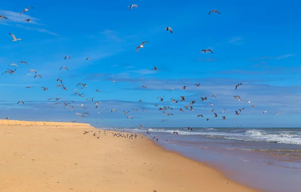 Prázdná Pláž Albufeiře Tato Pláž Součástí Slavné Turistické Oblasti Algarve — Stock fotografie