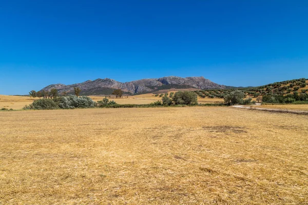 Krajobraz Parku Naturalnego Sierra Grazalema Prowincja Kadyks Malaga Andaluzja Hiszpania — Zdjęcie stockowe