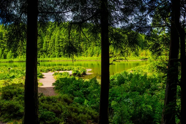 Lagoa Canario Widok Zieloną Lagunę Jeziora Kanaryjskiego Wyspie Sao Miguel — Zdjęcie stockowe