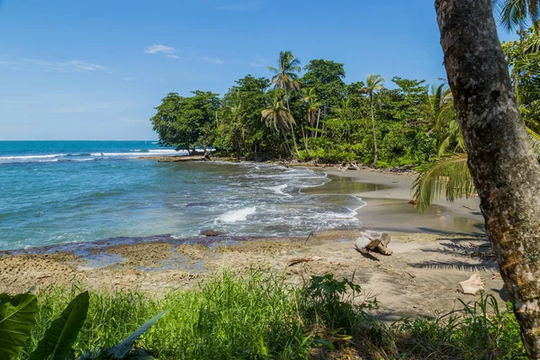Praia Oceano Tropical Com Palmeiras Costa Rica — Fotografia de Stock
