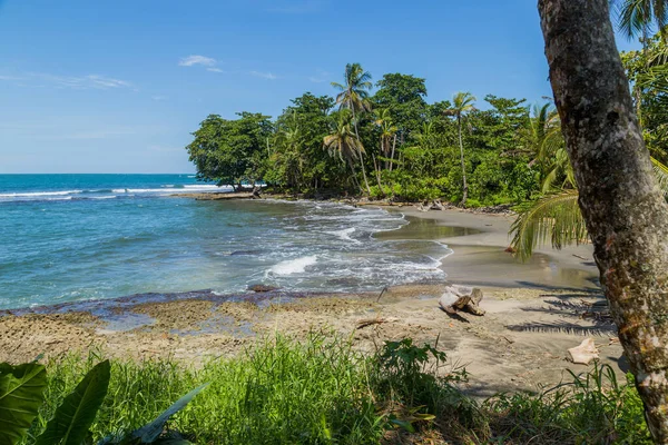 Tropikalna Plaża Oceaniczna Palmami Kostaryce — Zdjęcie stockowe