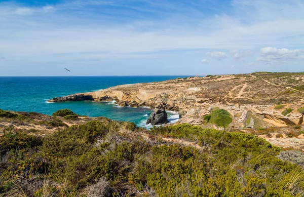 Bellissimo Paesaggio Nel Parco Naturale Costa Vicentina Alentejo Portogallo — Foto Stock