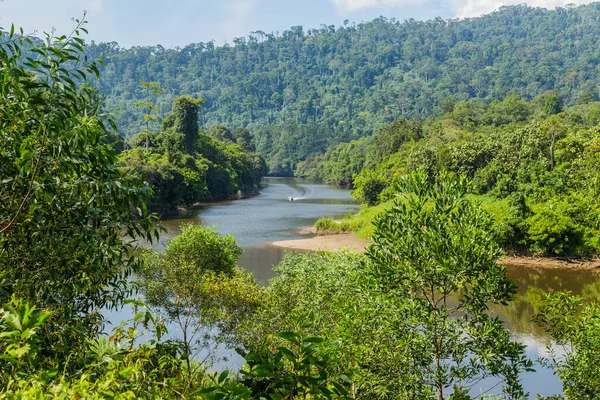 Temburong River Virgin Rainforest Ulu Temburong National Park Brunej — Stock fotografie