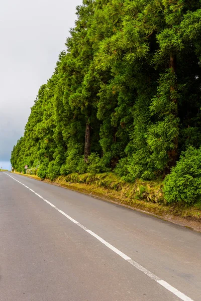 Road Surrounded Green Vegetation Sao Miguel Island Azores Portugal — Stock Photo, Image