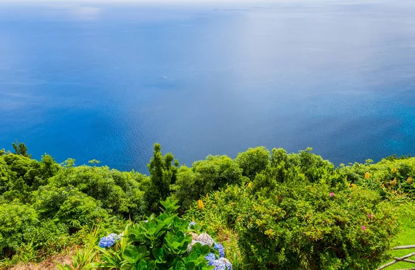 Nordeste Ilha São Miguel Nos Açores Miradouro Ponta Sossego Incrivelmente — Fotografia de Stock