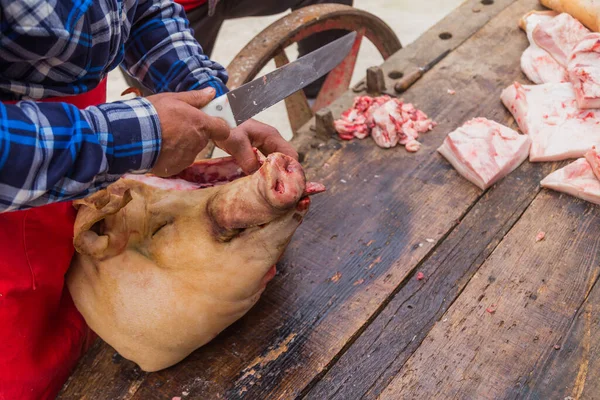 PAREDES DE COURA, PORTUGAL: kasap Portekiz 'in kuzeyindeki geleneksel tören için domuz öldürdü