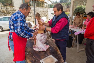 PAREDES DE COURA, PORTUGAL: kasap Portekiz 'in kuzeyindeki geleneksel tören için domuz öldürdü