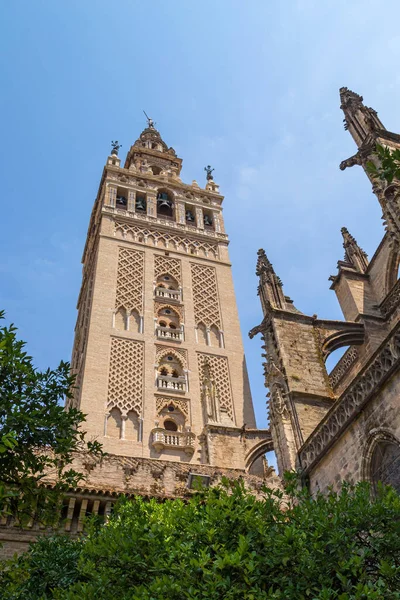 Sevillská Katedrála Jednou Turistických Atrakcí Města Sevilla Andalusie Španělsko Katedrála — Stock fotografie