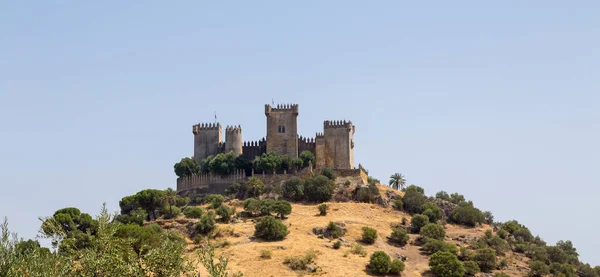 Una Vista Del Castillo Medieval Almodovar Del Río Andalucía España — Foto de Stock