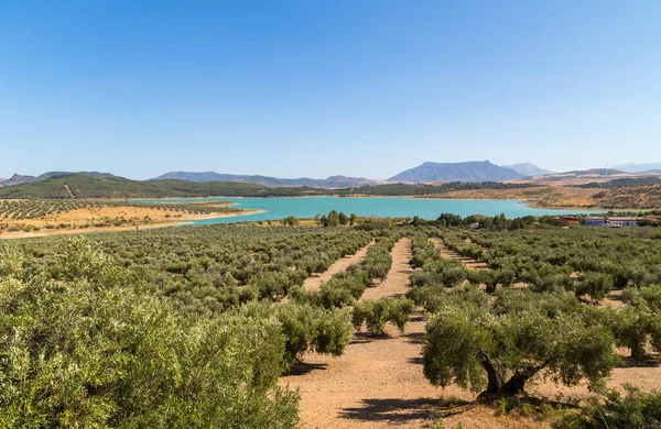 Lago Azul Zahara Sierra Parque Natural Sierra Grazalema Província Cádiz — Fotografia de Stock