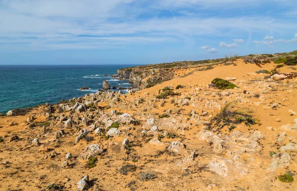 Όμορφο Τοπίο Στην Ακτή Vicentina Φυσικό Πάρκο Alentejo Πορτογαλία — Φωτογραφία Αρχείου