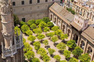 SEVILLE, SPAIN - 12 Ağustos 2021: The Cathedral of the Saint Mary of the See or Seville Cathedral. İspanya, Sevilla 'nın ünlü simgesinden manzara.