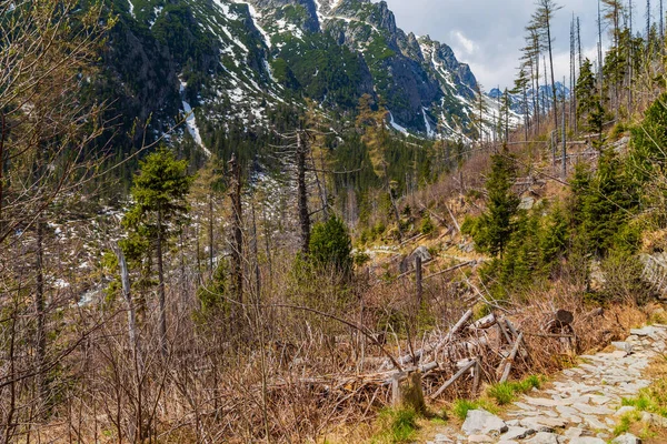 Vista Cordillera Del Alto Tatra Eslovaquia — Foto de Stock