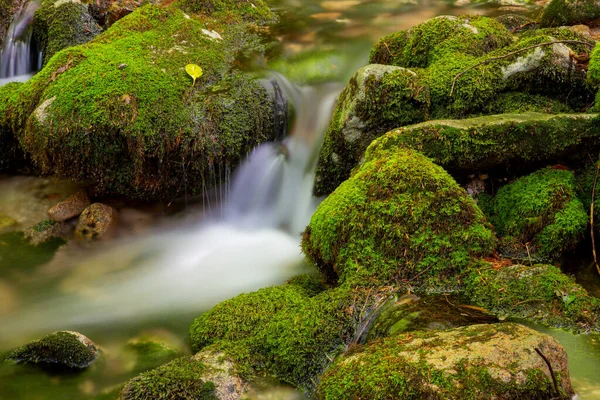 Řeka Vodopád Portugalském Národním Parku Geres Severu Země — Stock fotografie