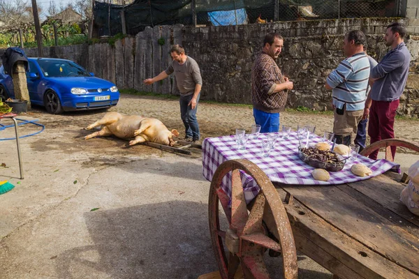 Paredes Coura Portugal Marzo 2022 Carnicero Mató Cerdo Por Una — Foto de Stock