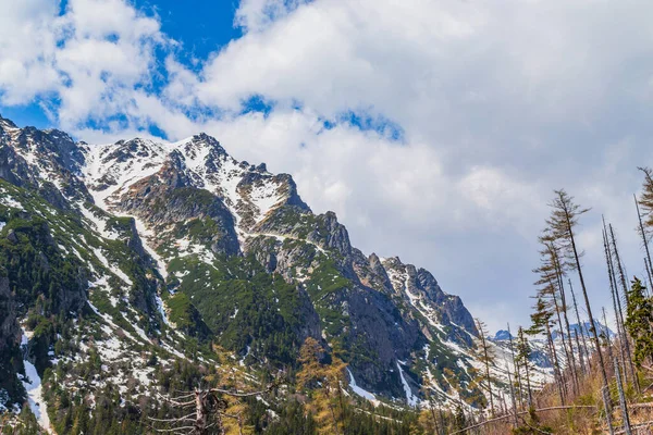 Uitzicht Hoge Tatra Bergketen Slowakije — Stockfoto