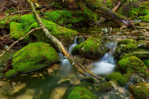 Flusswasserfall Portugiesischen Nationalpark Geres Norden Des Landes — Stockfoto