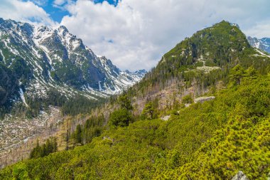 Slovakya 'daki Yüksek Tatra Dağları Görünümü. 