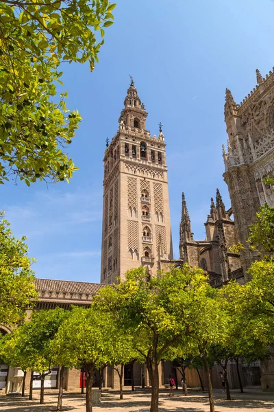 Sevilla Španělsko Sevillská Katedrála Jednou Turistických Atrakcí Sevilly Andalusie Španělsko — Stock fotografie