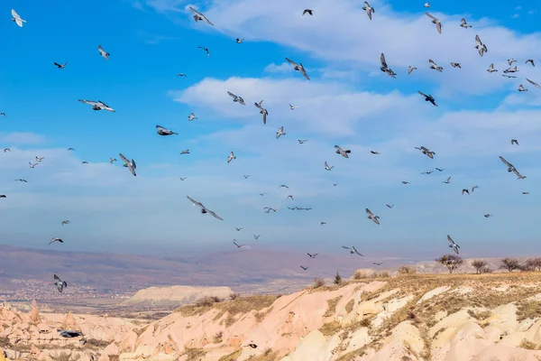 Kapadokya Anadolu Daki Volkanik Kayalıklarda Uçan Güvercinler Kaya Oluşumları Türkiye — Stok fotoğraf