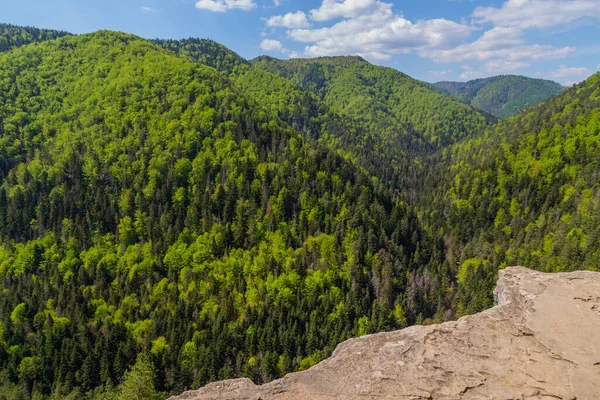 Vista Tomasovsky Vyhlad Nel Parco Nazionale Slovacco Del Paradiso — Foto Stock