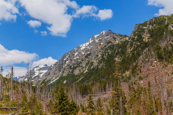 Utsikt Över High Tatra Mountain Range Slovakien — Stockfoto