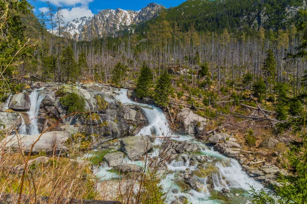 斯洛伐克喀尔巴阡山脉瀑布 — 图库照片