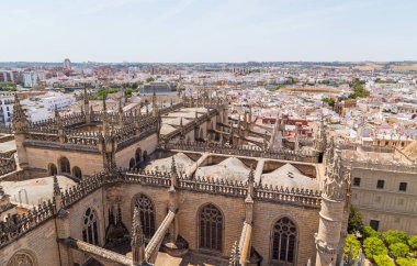 Saint Mary of the See ya da Seville Katedrali 'nin Katedrali. İspanya, Sevilla 'nın ünlü simgesinden manzara.