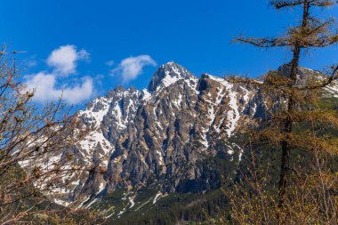 Slovakya 'daki Yüksek Tatra Dağları Görünümü.