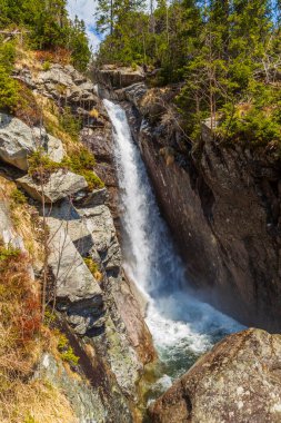 Yüksek Tatras dağlarında şelale, Karpatya, Slovakya