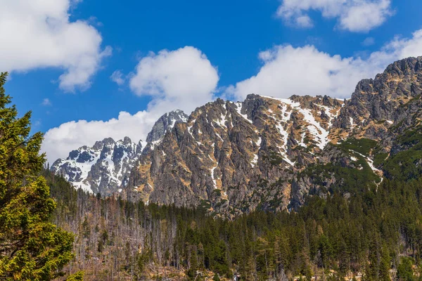 Slovakya 'daki Yüksek Tatra Dağları Görünümü.