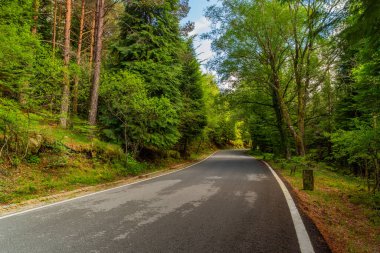 Geres, Portekiz Milli Parkı 'nda yolları ve güzel ağaçları olan bahar manzarası. Portekiz 'in kuzeyi