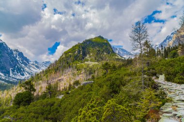 Slovakya 'daki Yüksek Tatra Dağları Görünümü.