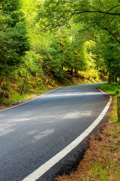 Spring Landscape Road Beautiful Trees Geres Portuguese National Park North — Stock Photo, Image