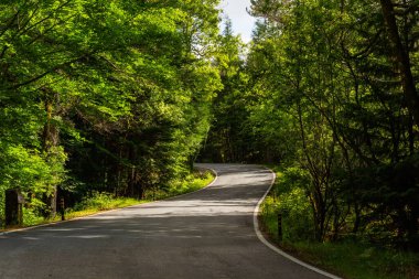 Geres, Portekiz Milli Parkı 'nda yolları ve güzel ağaçları olan bahar manzarası. Portekiz 'in kuzeyi
